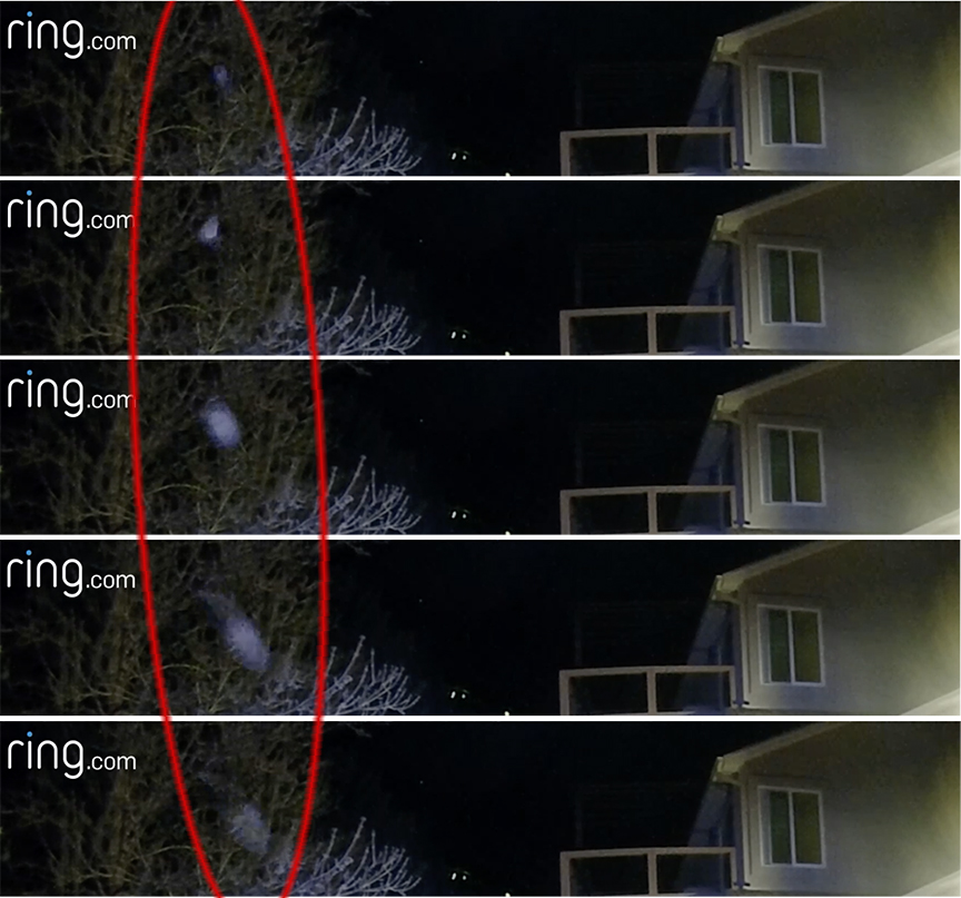 Spirits & Orbs – Evidential Psychic Medium